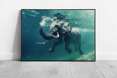 African Elephant Swimming Underwater Wild Nature Photography Wall Art Print on Paper Framed Picture print