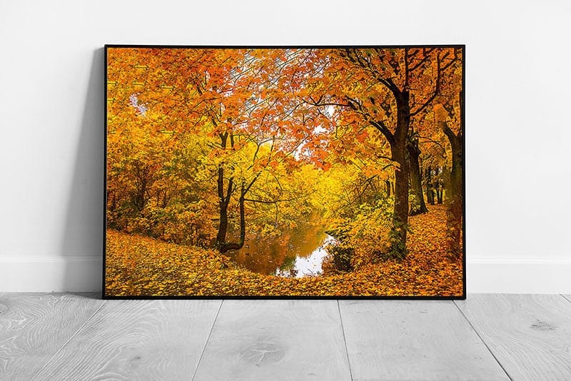 Calm Orange Yellow Autumnal Woodland With Lake Wall Art Print on Paper Framed Picture print