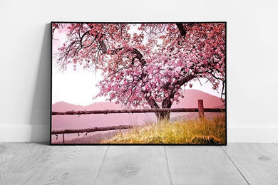 Large Blossom Tree Standing Tall Blooming Pink Spring Blossoms Nature Photography Wall Art Print on Paper Framed Picture print