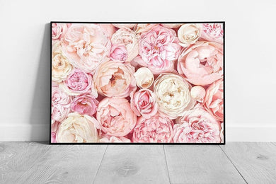 Beautiful Soft Blooming Pastel Roses Romantic Valentines Florals Flower Photography Wall Art Print on Paper Framed Picture print