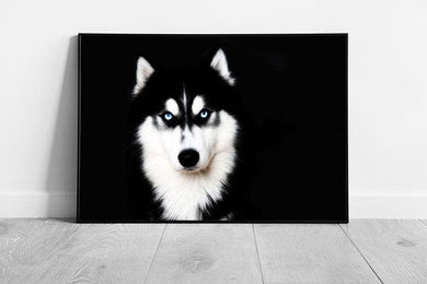 Bright Blue Eyes Siberian husky Dog Pet Ready to Hang Wall Art Print Framed Picture print