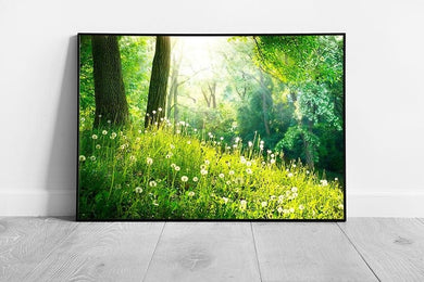 Beautiful Tranquil Dandelion Covered Green Woodland Forest Floor On A Sunny Day Wall Art Print on Paper Framed Picture print