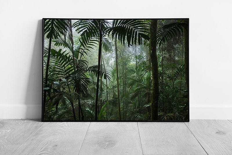 Deep Inside A Humid Vibrant Green Warm Tropical Jungle Tree Plant Life Exotic Nature Wall Art Print on Paper Framed Picture print