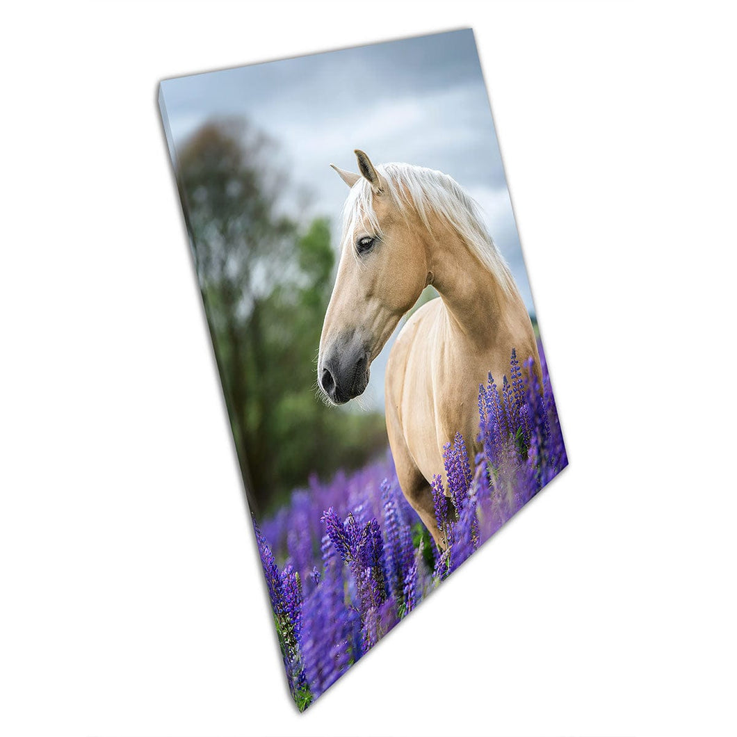Palomino Horse In Lavender Field Wall Art Se imprima en impresión de lona montada en lienzo