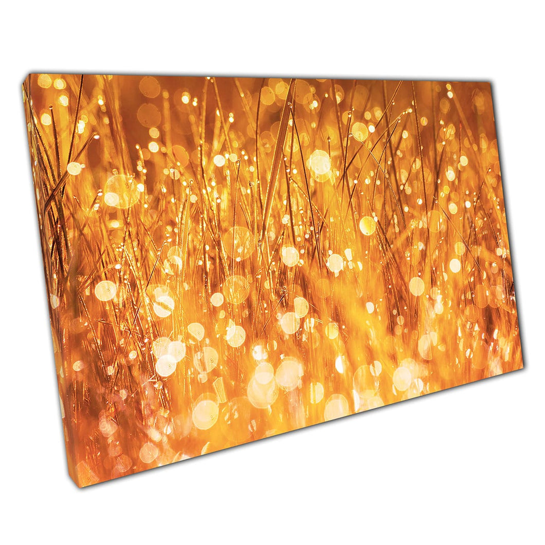 Morning Dew in Natural Grass Golden Glow Nature Naturaleza Fotografía Arte de pared Impresión en lienzo montado en lienzo impresión