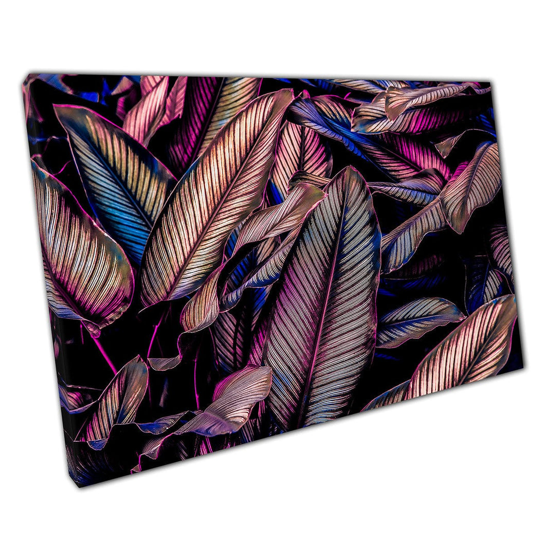 Tropical Jungle Natural Pin-Stripe Calathea Foliage Leaves Wall Art Print On Canvas Mounted Canvas print