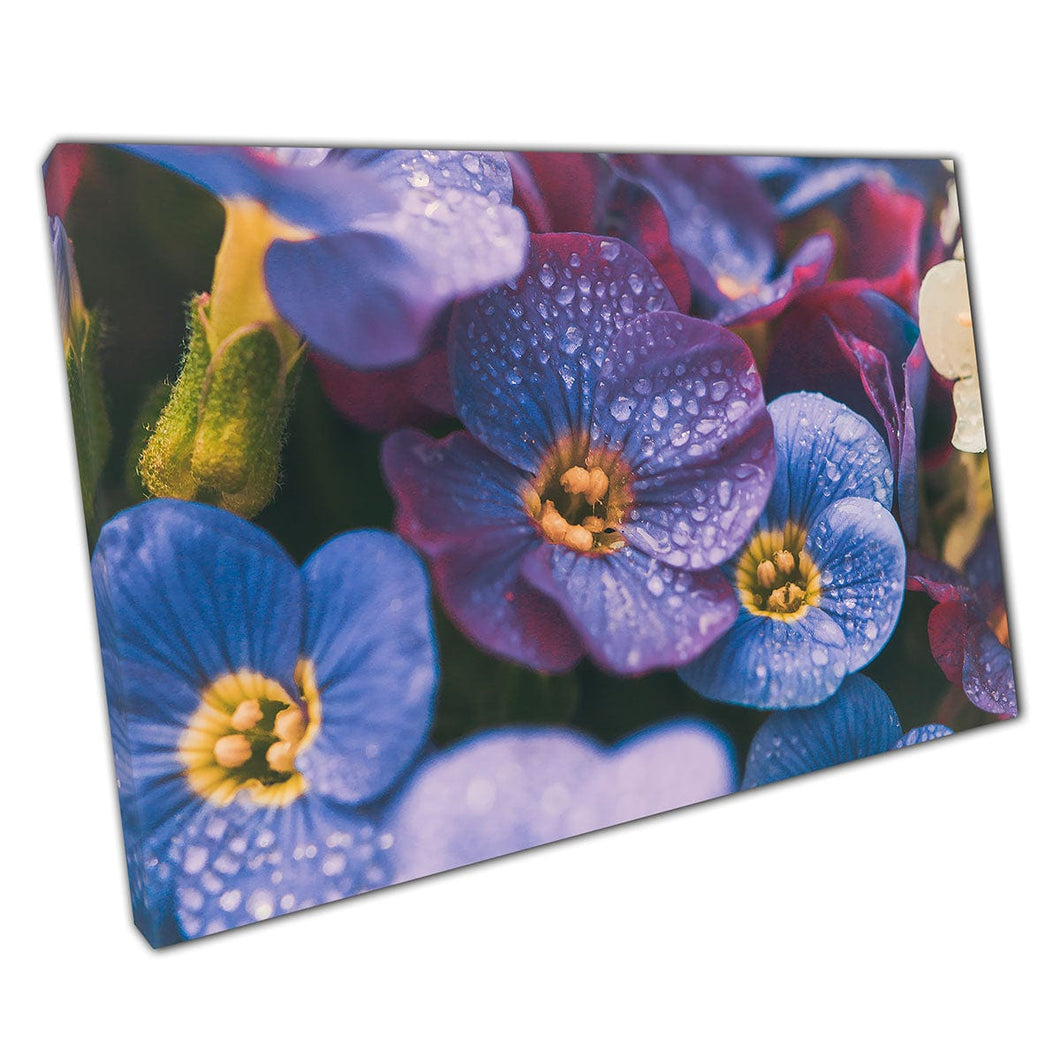Flores tonificadas de color púrpura cubierto de pequeñas gotas de agua Naturaleza floral Fotografía Arte de pared impresa en lienzo montado estampado