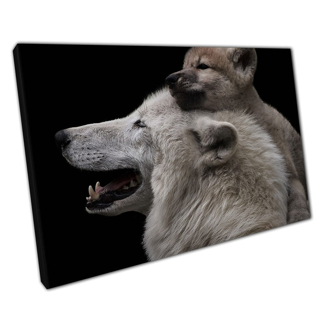 Amor de la madre Madre Wolf Arctic Wolf y Young Pup Snuggling Wildlife Photography Art Wall Impresión en lienzo Montado Impresión