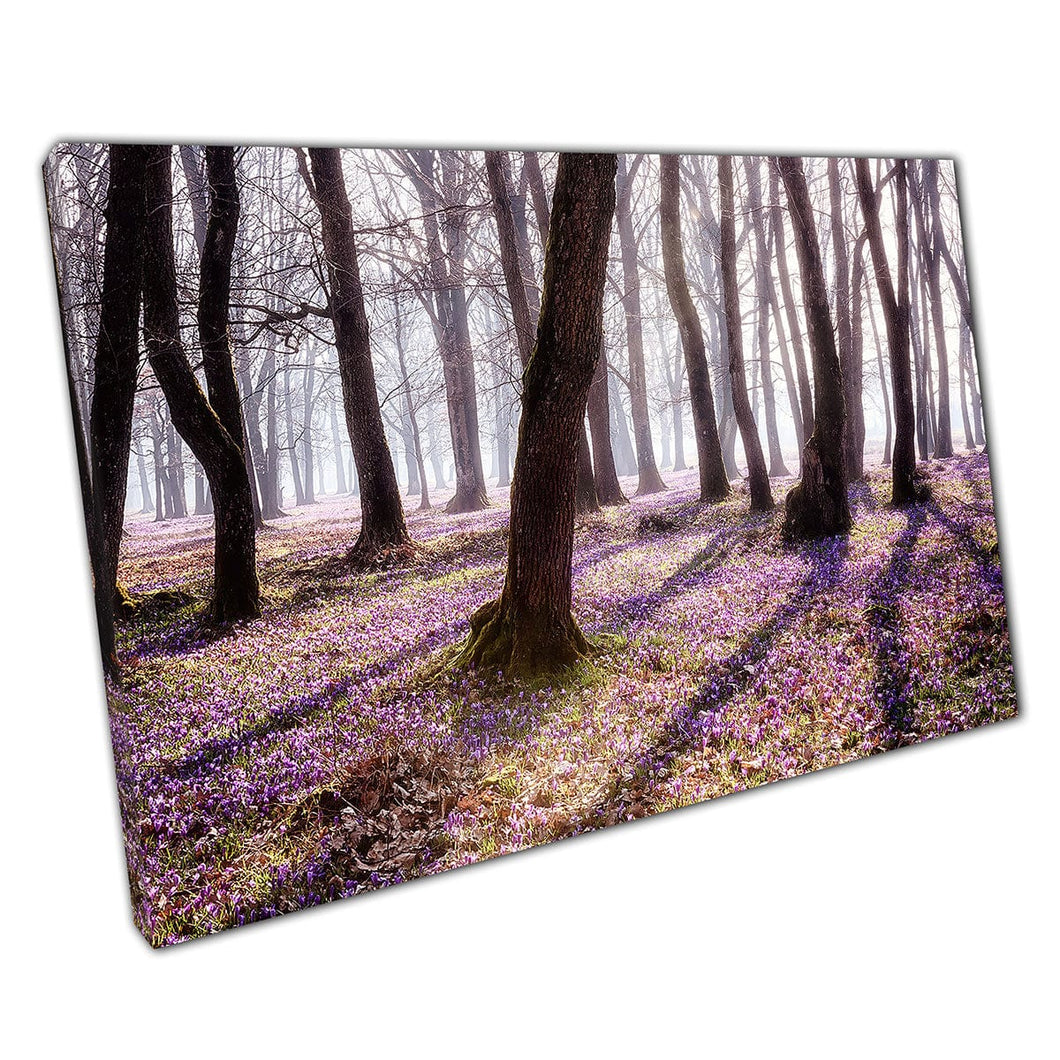 Spring Oak Forest gevuld met krokus en saffraanbloemen Natuurlijke mooie boswand kunstafdruk op canvas gemonteerde canvas print