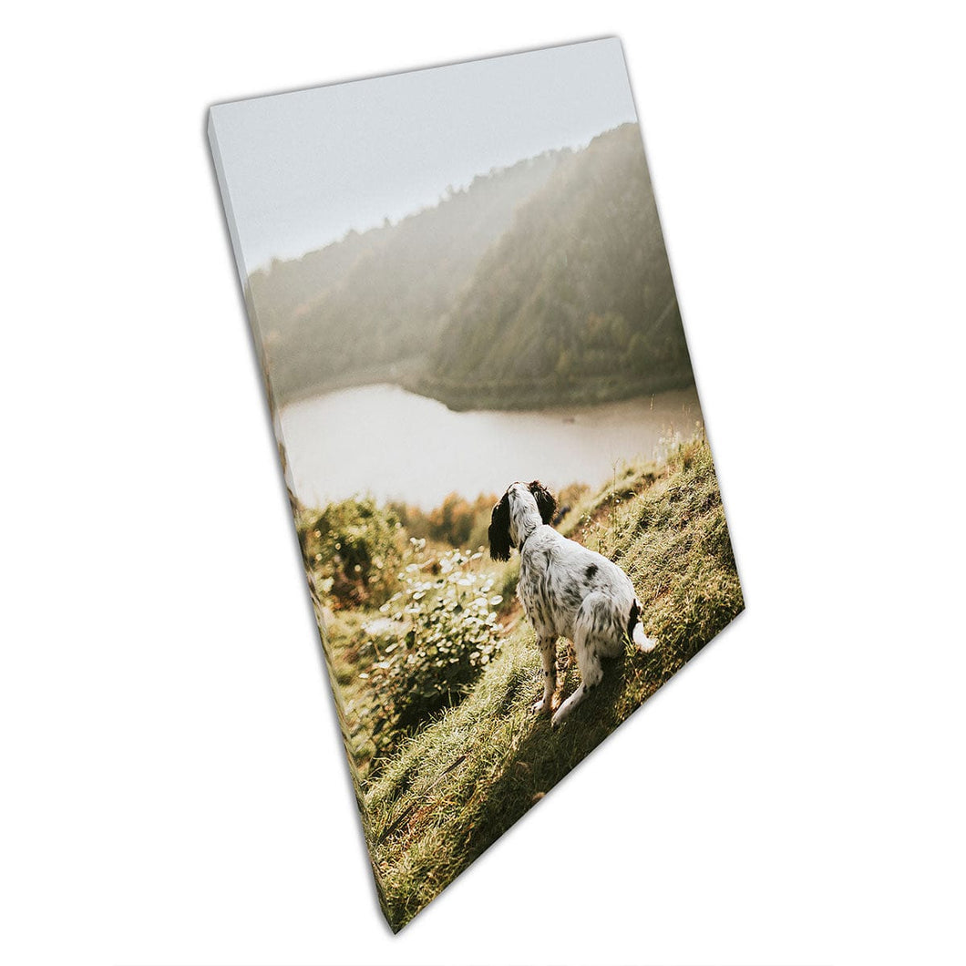 Small Curious Dog Looking Enjoying The View On A Nature Hike In The Sun Photography Wall Art Print On Canvas Mounted Canvas print