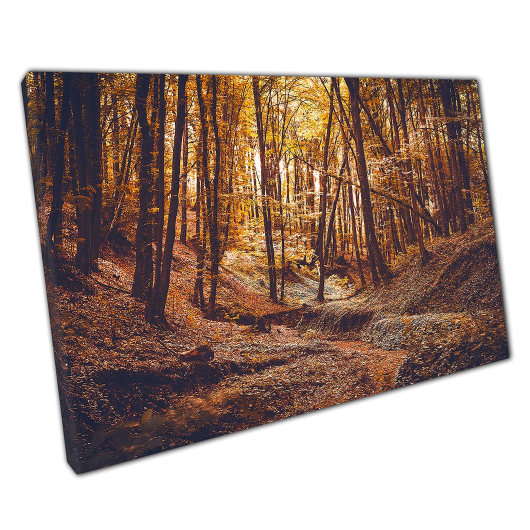 Donker dik herfstbossen bos met gouden zonlicht die door de bomen wentgunstprint sijpelt op canvas gemonteerde canvas print
