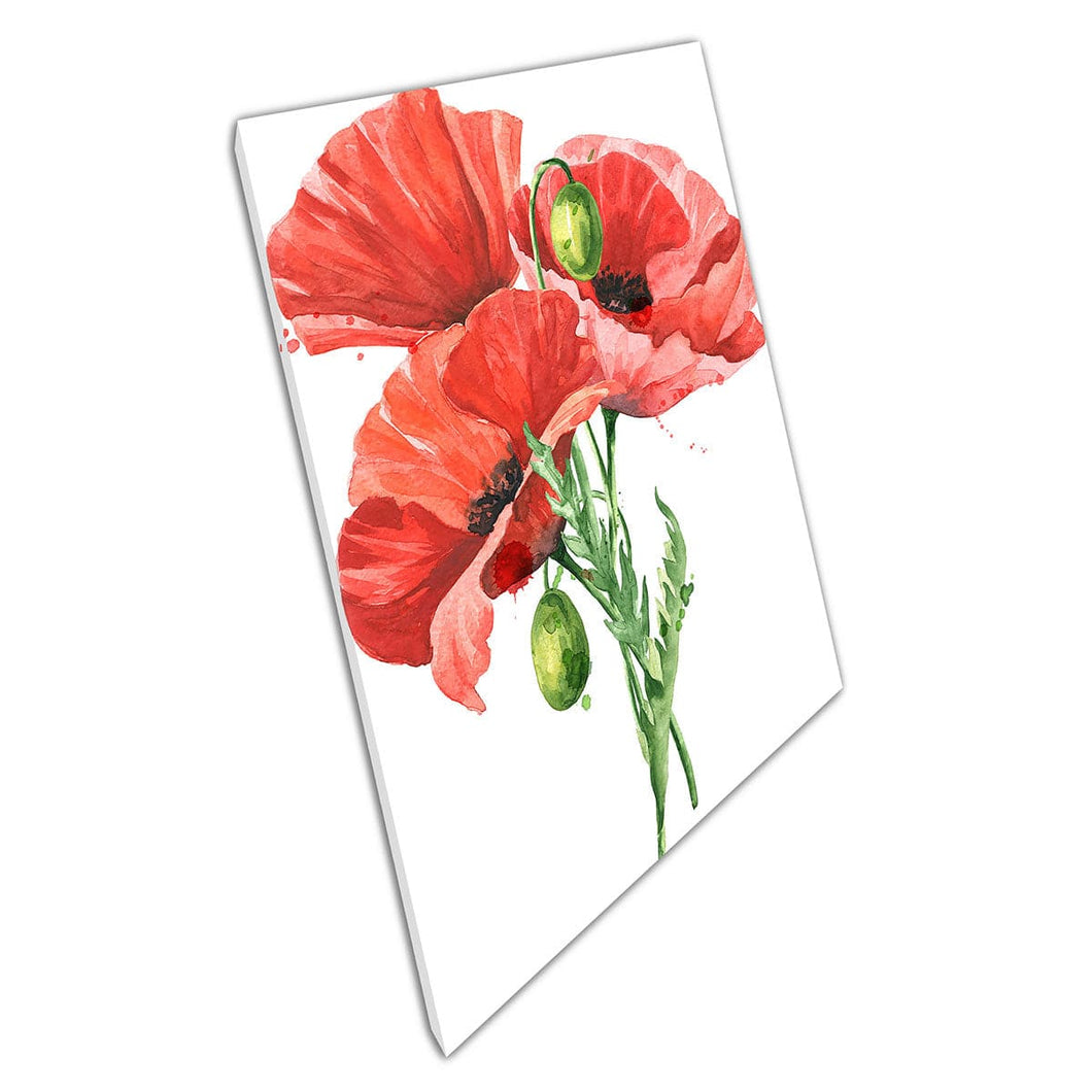 Klein boeket rode papaverbloemen gedetailleerd levendige aquarel bloemen illustratie Wall Art Print op canvas gemonteerde canvas print