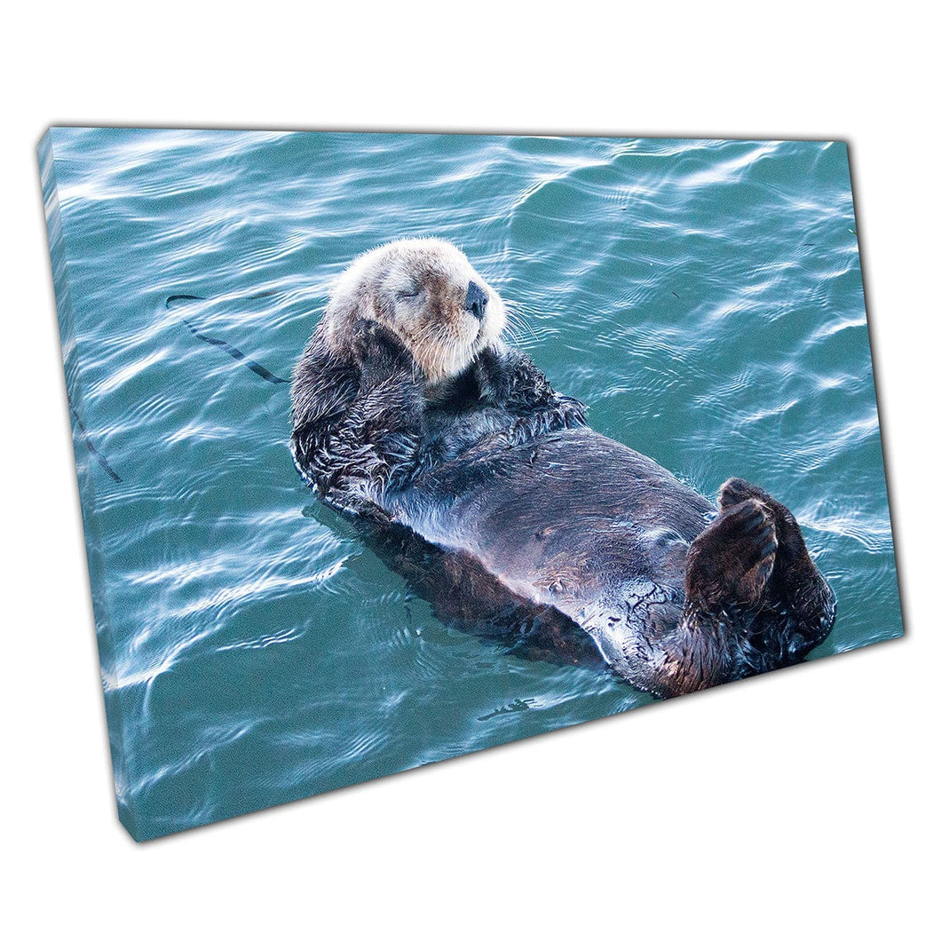 Happy Funny California Sea Otter Floating On It's Back In Morro Bay Cute Wildlife Wall Art Print On Canvas Mounted Canvas print