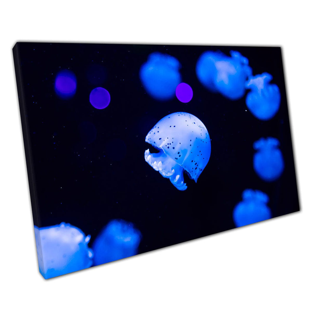 Gelukkige kleine kwallen die door aquarium zwemmen onder neon blauwe verlichting zee leven muur kunstprint op canvas gemonteerde canvas print