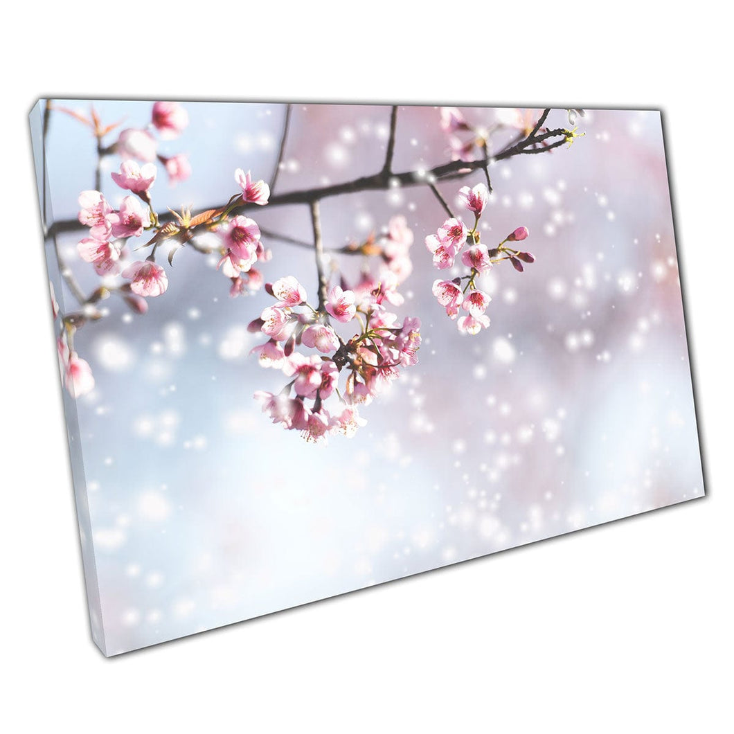 Roze mooie wilde Himalayan kersen bloesems sakura bloemen sneeuwval winter bloemen muur kunst print op canvas gemonteerde canvas print