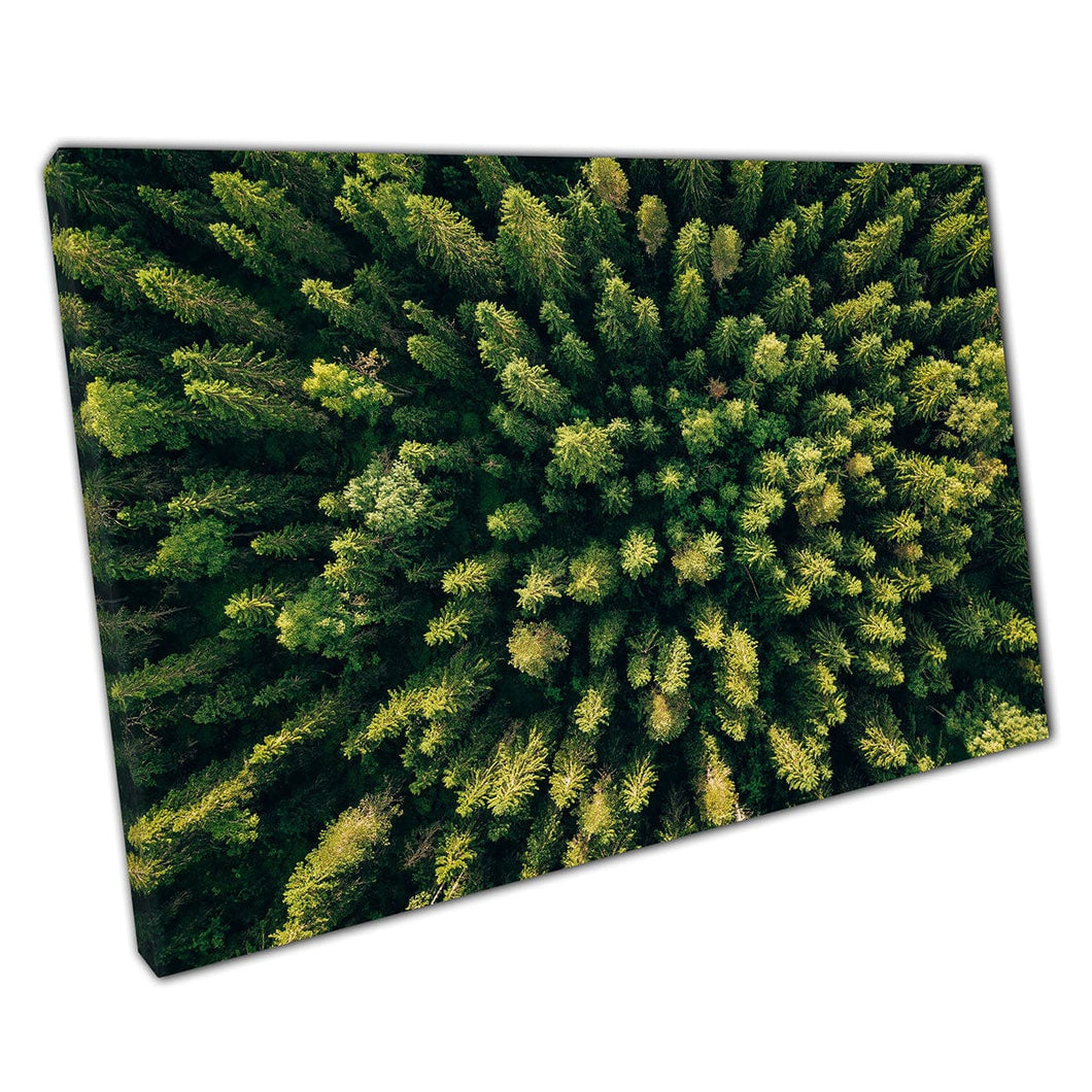 Aerial View Of Vibrant Fresh Green Summer Forest Woodland In Rural Finland Nature Wall Art Print On Canvas Mounted Canvas print