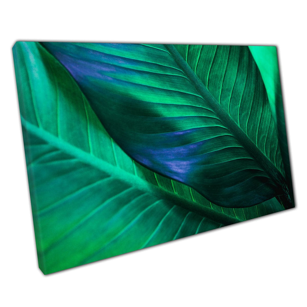 Levendige abstracte groene bladeren natuurfotografie Topisch exotisch gebladerte natuurlijke muurkunstafdruk op canvas gemonteerde canvas print