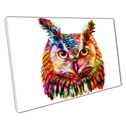 Afdrukken op canvas waterverf uil Art klaar om canvas muurkunst afdrukken gemonteerd canvas print te hangen