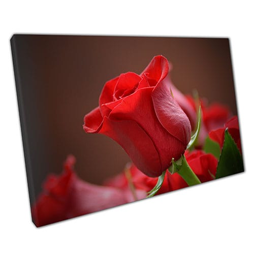 Imprimir en lienzo Romantic Classic Red Rose Ready para colgar Arte de pared Impresión de lona montada