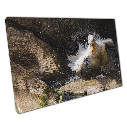 Afdrukken op canvas gans/eendenklappende veren in waterwand kunstprint gemonteerde canvas print