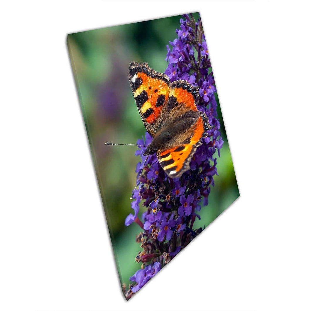 Macro Shot Of Butterfly Resting On Purple Buddleia Butterfly Bush Flower Wall Art Print On Canvas Mounted Canvas print