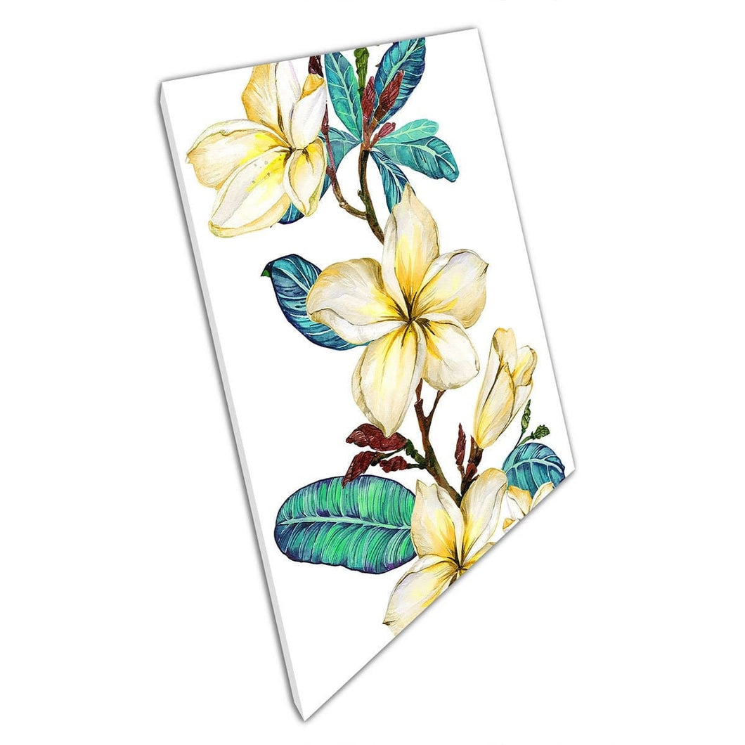 Verbluffende delicate gele plumeria -bloemen groeien van een tak waterverfschilderijwandkunstafdruk op canvas gemonteerde canvas print