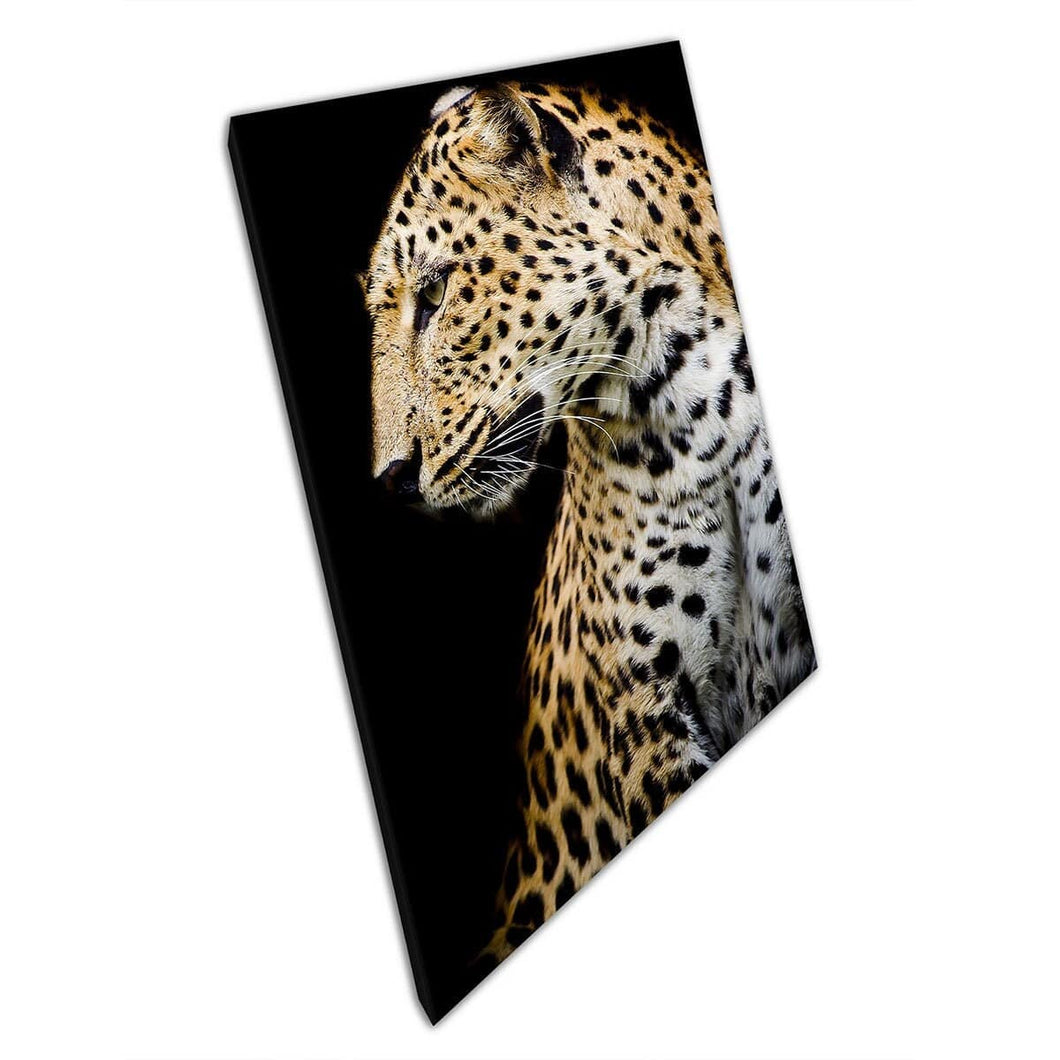 Luipaard Zittend naar de zijkant natuurfotografie canvas muurkunst print op canvas gemonteerde canvas print