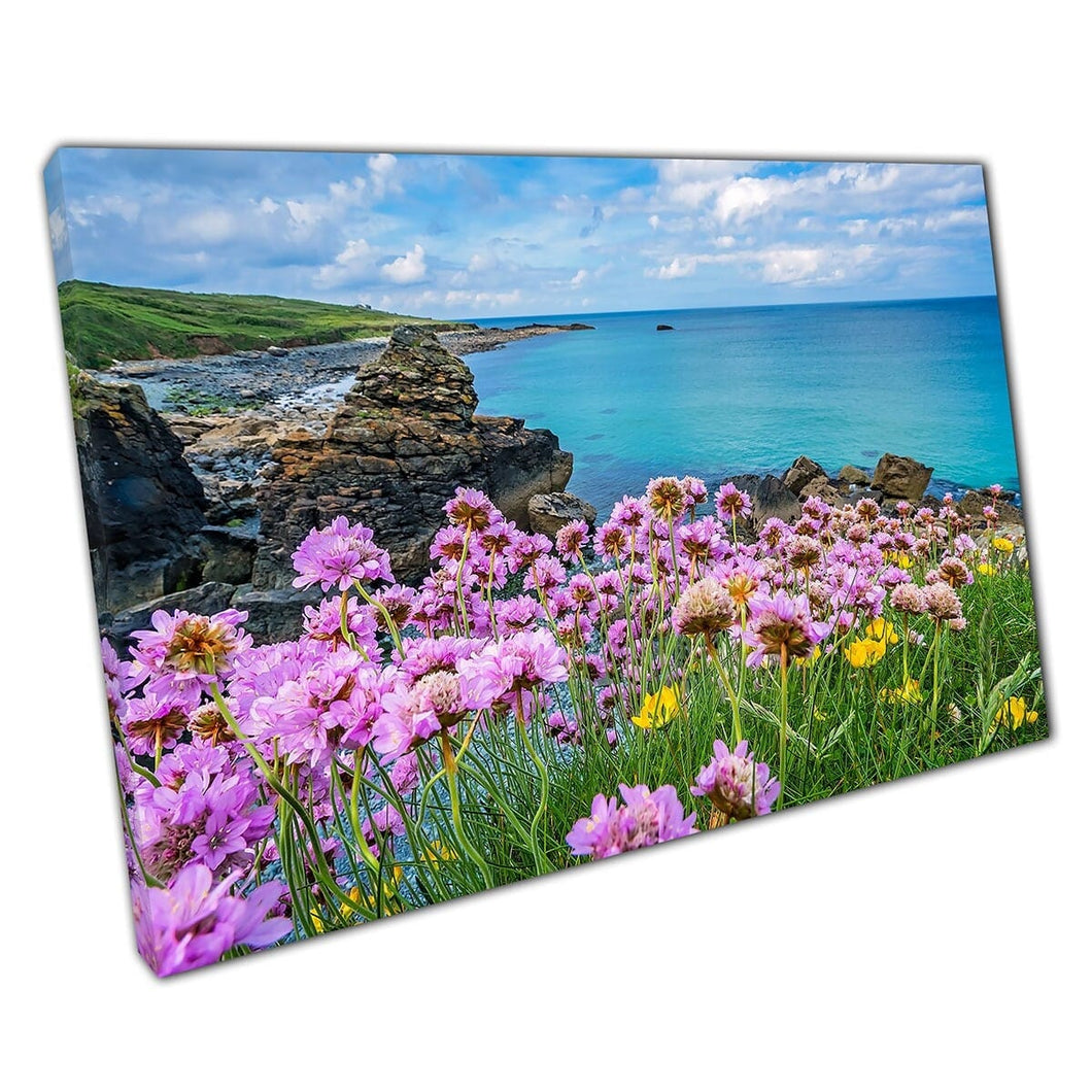 Roze en gele bloemen aan de kust van St. Ives Cornwall Engeland UK Wall Art Print op canvas gemonteerde canvas print