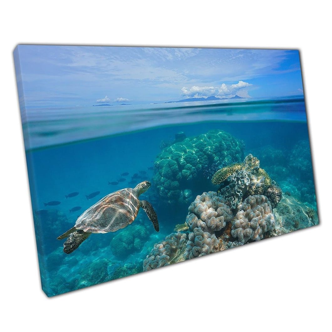 Tropical Clear Seascape With Islands On The Horizon Turtle Swimming In The Reef Below Wall Art Print On Canvas Mounted Canvas print