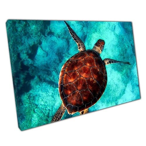 Print on Canvas Sea Turtle Clear Blue Water Swimming Ready to Hang Wall Art Print Mounted Canvas print