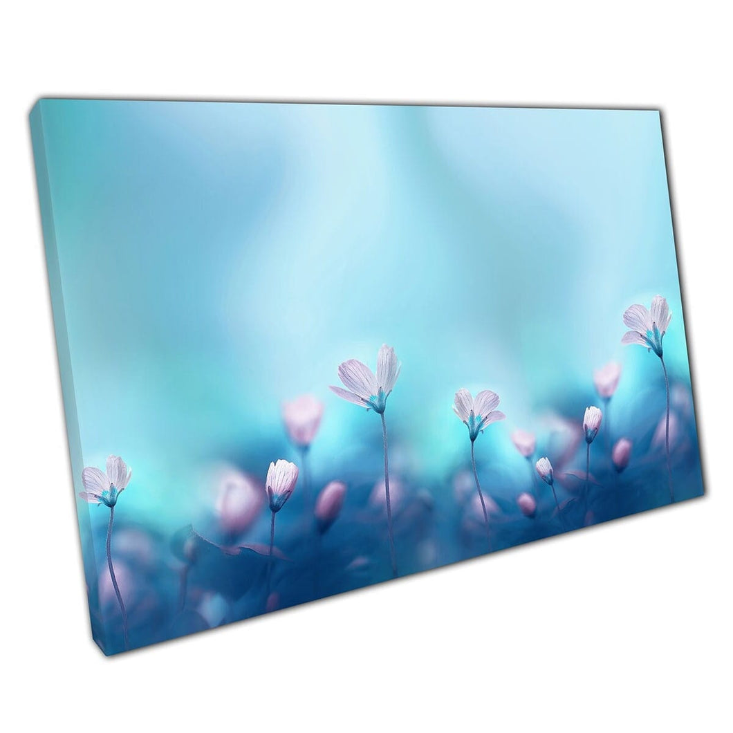 Piccoli fiori di primarosa bianca primaverile che fioritura in prato tonificato blu floreali romantici flori artistica da parete su tela stampa di tela montata