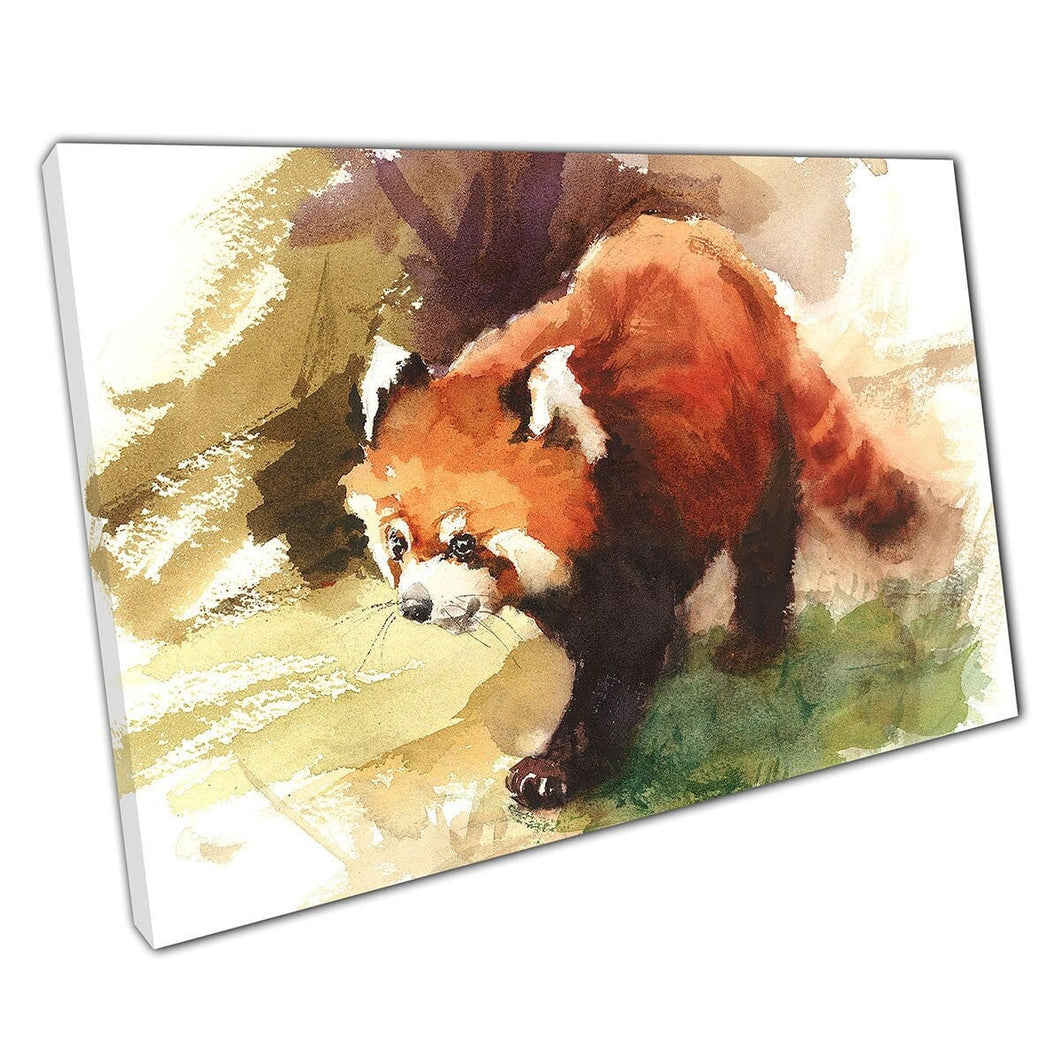 Wild Red Panda verkennen waterverf met dieren schilderen illustratie muurkunst print op canvas gemonteerde canvas print