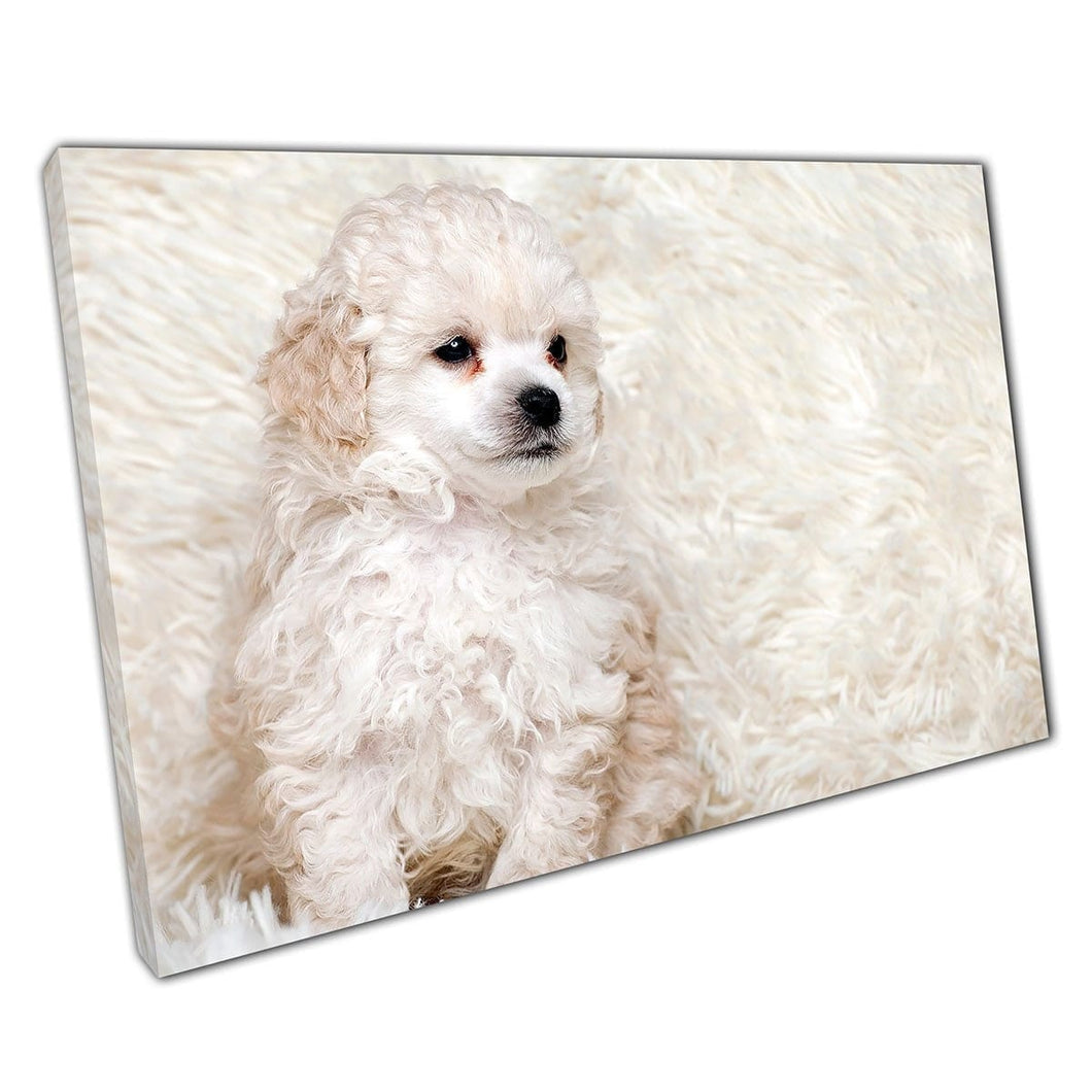 Schattige donzige witte puppyhond op een donzige deken schattige huisdierhond puppy muur kunst print op canvas gemonteerde canvas print