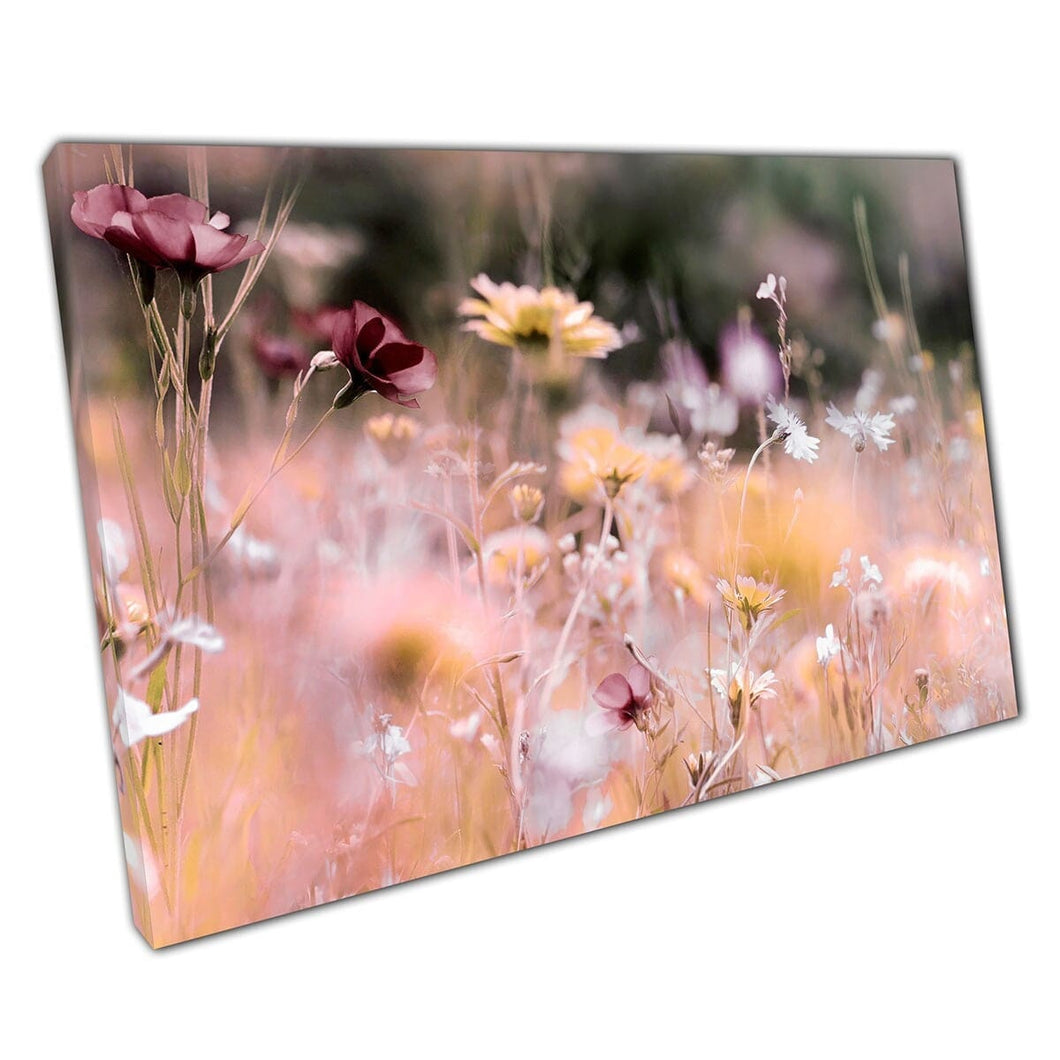 Zomer Pastel Flower Shades in de zachte ochtendzon Wall Art Print op canvas gemonteerde canvas print