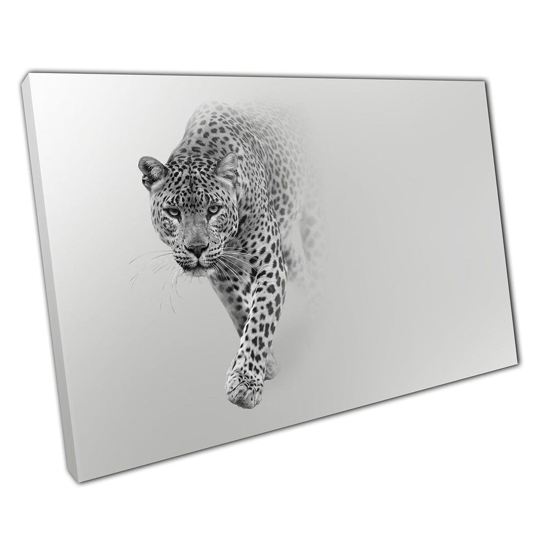 Mooie luipaard op de zweven dramatische zwart -witte fotografie Wild Big Cat Wall Art Print op canvas gemonteerde canvas print