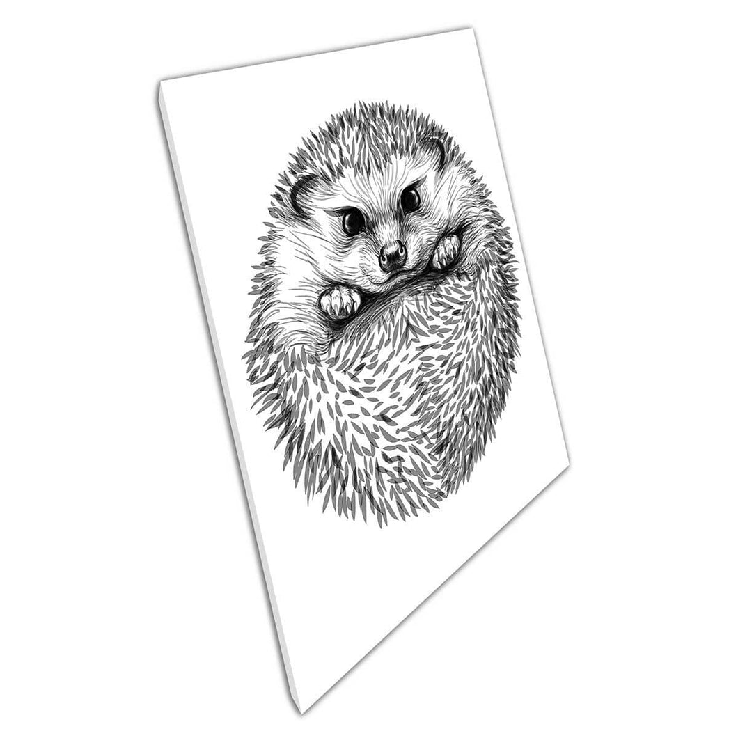 Prachtige schattige zwart -witte egel gerold in ball sketch illustratie muurkunst print op canvas gemonteerde canvas print