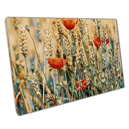 Afdrukken op canvas Poppy Field in de zon klaar om muurwand te hangen afdrukken gemonteerde canvas print