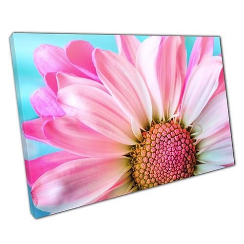 Afdrukken op canvas witte en roze zomerbloem in bloei muur kunst print gemonteerd canvas print
