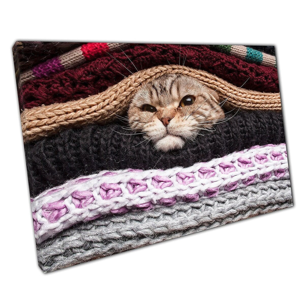 Angry Cat Wrapped In A Pile Of Wool Clothes And Blankets Funny Animal Photography Wall Art Print On Canvas Mounted Canvas print