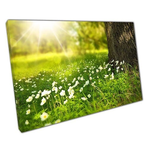 Print on Canvas Daisy field Ready to Hang canvas Wall Art Print Mounted Canvas print