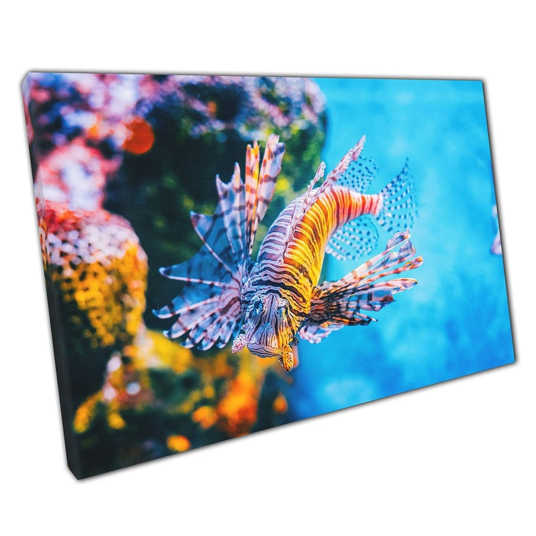 Venomous lionfish zwemmen door koraalrif Dangerous Sea Life Ocean Photography Wall Art Print op canvas gemonteerde canvas print