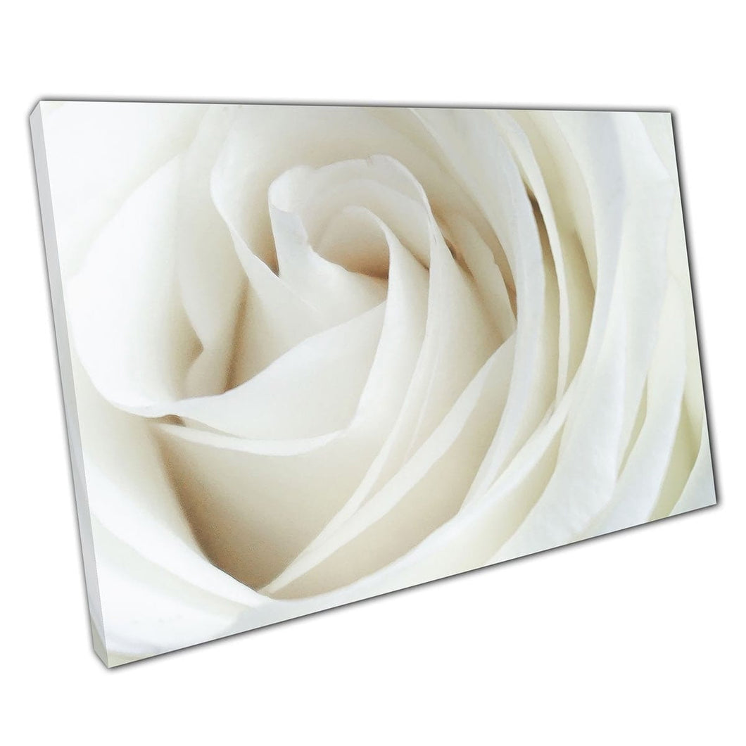 Dromerige witte roos bloemenkunst canvas muur kunst print op canvas gemonteerde canvas print