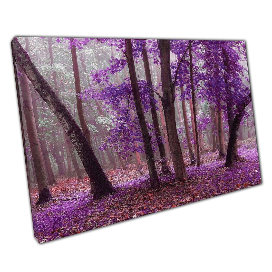 Mistico bosco di foresta di foglie viola da favola con un sottile strato di nebbia magica stampa murale stampata su tela stampata di tela montata