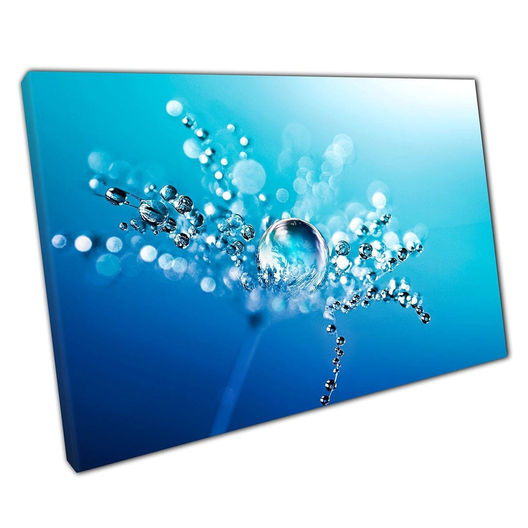 Water Droplets Covering Tiny Dandelion Macro Nature Photography With A Vivid Blue Wall Art Print On Canvas Mounted Canvas print