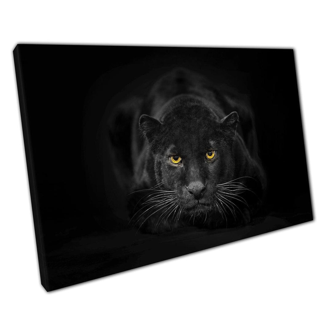 Verbluffende sterke krachtige slanke wilde zwarte panter Wild Big Cat Animal Photography Wall Art Print op canvas gemonteerde canvas print