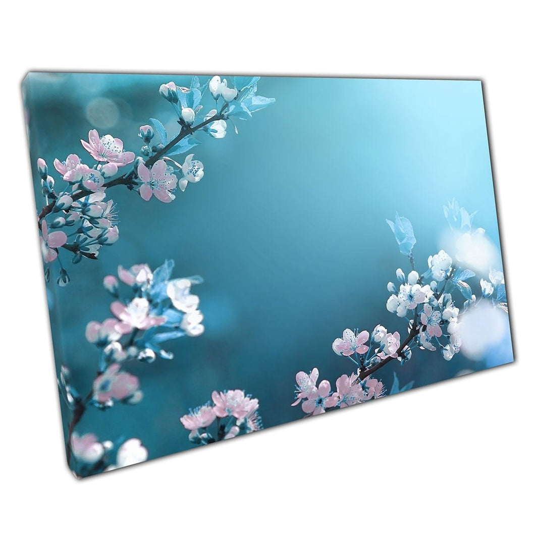 Delicate lente bloeiende abrikozen pruimen bloesems tegen een zacht blauwe lucht achtergrond muurkunst print op canvas gemonteerde canvas print