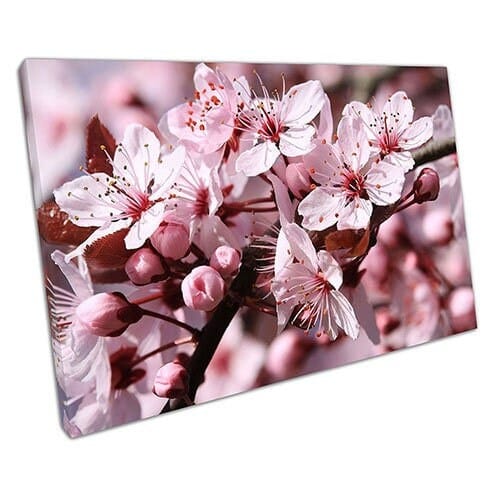 Stampa su tela rosa blossom floreale tela arte muro stampa montata in tela montata