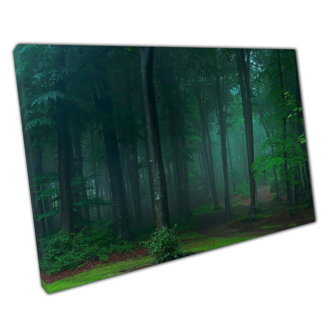 Mistige griezelige sprookjesachtige bosbossen in de ochtendwall kunstprint op canvas gemonteerde canvas print
