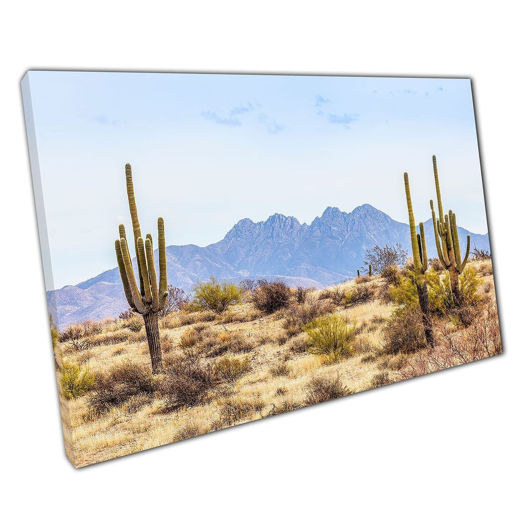 Vier pieken Mazatzal Mountains oostelijke skyline Phoenix Arizona Tall Saguaro Cacti Wall Art Print op canvas gemonteerde canvas print