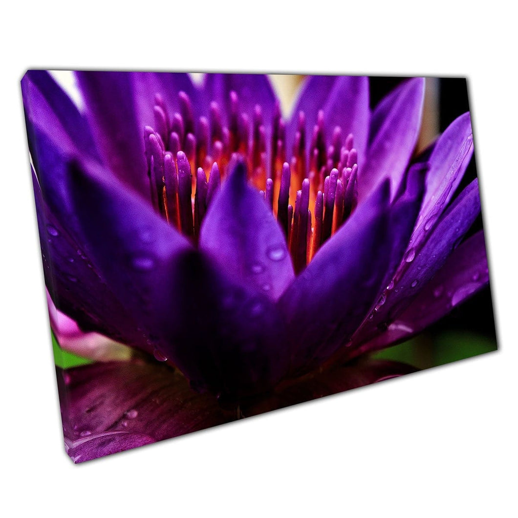 Exotische lotus paarse bloem close -up natuur fotografie muur kunst print op canvas gemonteerde canvas print